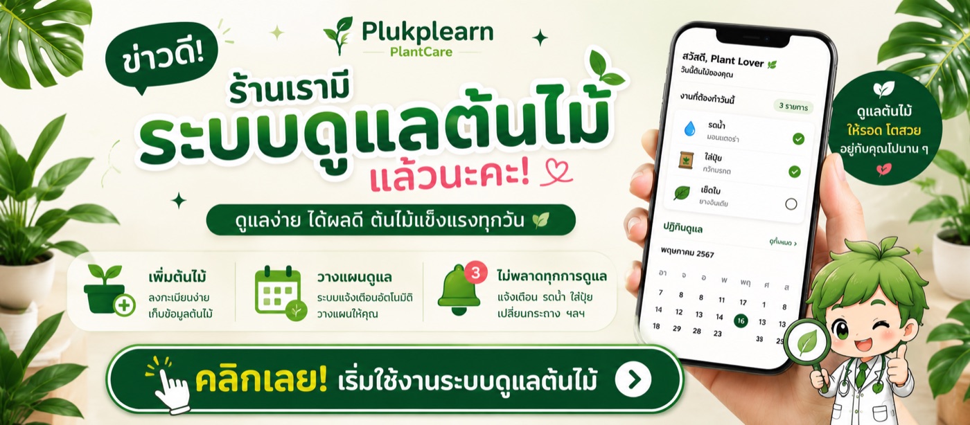 ซื้อแล้วดูแลอัตโนมัติ ผ่านแอป Plant Care