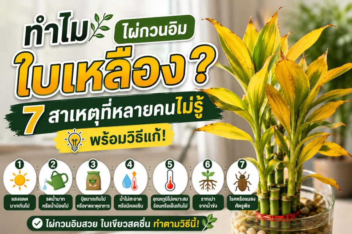 Why Are My Lucky Bamboo Leaves Turning Yellow? 7 Causes and Fixes