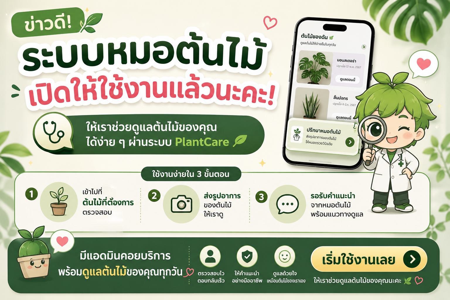 👨‍⚕️ หมอต้นไม้ เปิดให้ใช้งานแล้ว!