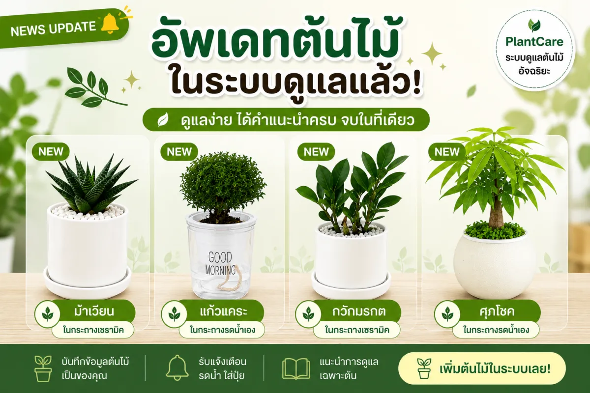 🌿 อัปเดตต้นไม้ใหม่ในระบบดูแล PlantCare แล้ว!