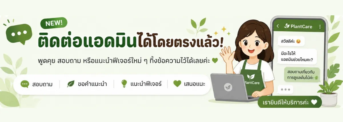 💬 ติดต่อแอดมินได้โดยตรงแล้ว!