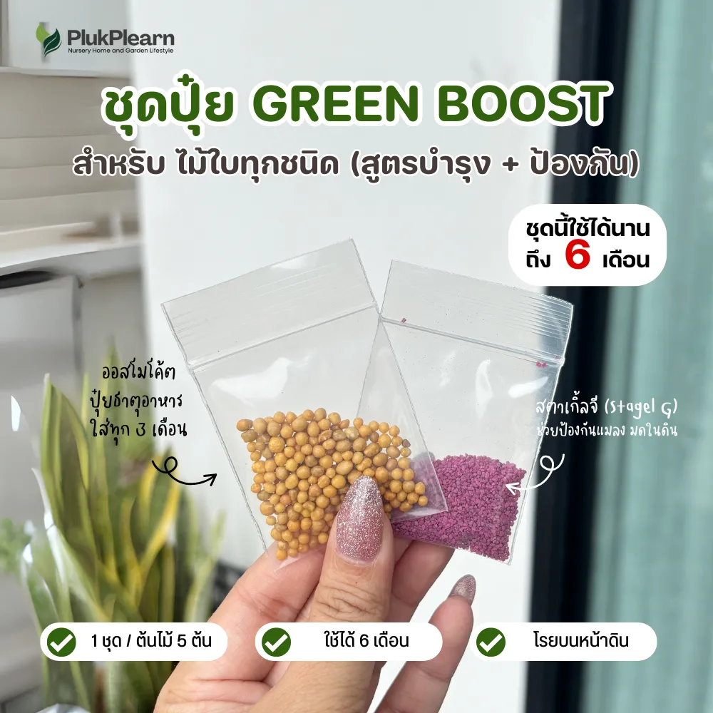 ปุ๋ย สำหรับไม้ใบ ชุดปุ๋ย Green Boost สำหรับ ไม้ใบทุกชนิด (สูตรบำรุง + ป้องกัน) ใช้ได้นาน 6 เดือน