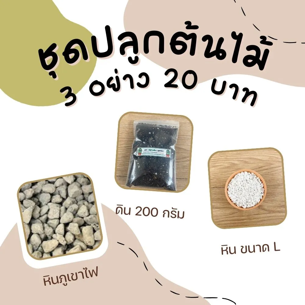 ชุดปลูกต้นไม้ เซท 3 อย่าง 20 บาท ปลูกได้ 3-4 กระถาง