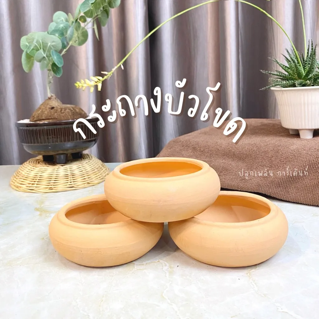 กระถางดินเผา  ทรงอ่าง ทรงปากกว้าง เตี้ย เหมาะ สำหรับจัดสวนถาด