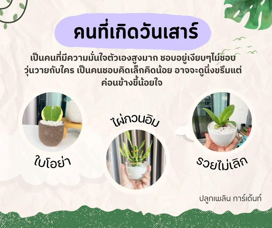 ไม้มงคลของผู้ที่เกิด วันเสาร์