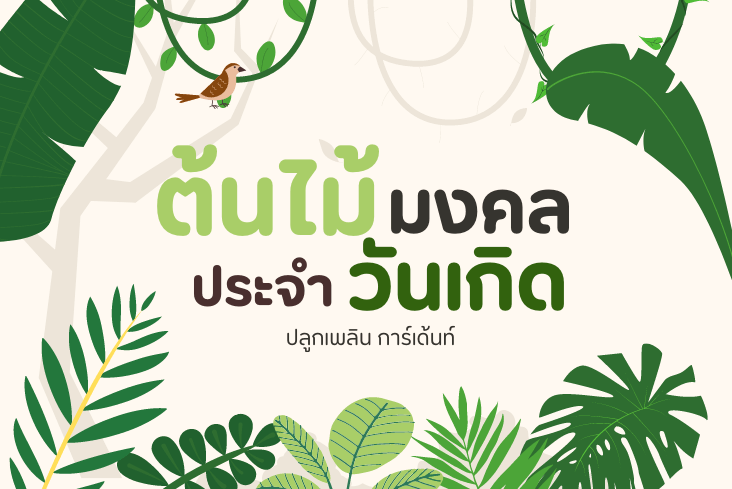 อวยพรวันเกิด ด้วย ไม้มงคล ประจำวันเกิด ทั้ง 7 วัน มีอะไรบ้างไปดูกัน