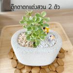 เบี้ยเศรษฐี ไม้ มงคล ไม้ ฟอก อากาศ ต้นไม้ ออนไลน์