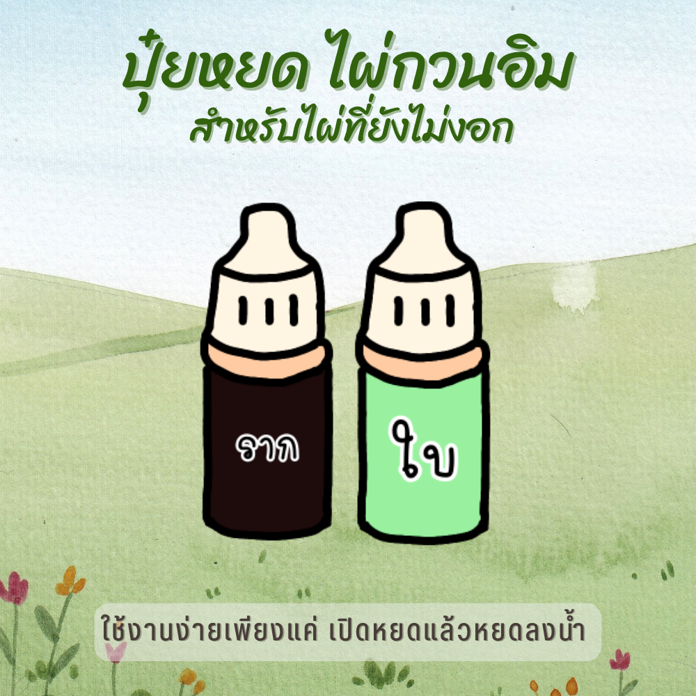 ปุ๋ยน้ำบำรุงไผ่กวนอิม