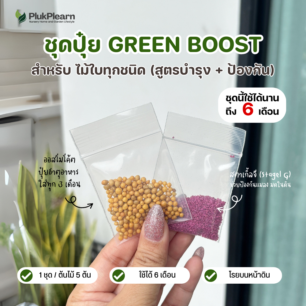 Green Boost