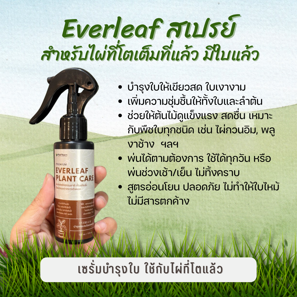 สเปรย์ฟื้นฟูและบำรุงต้นไม้